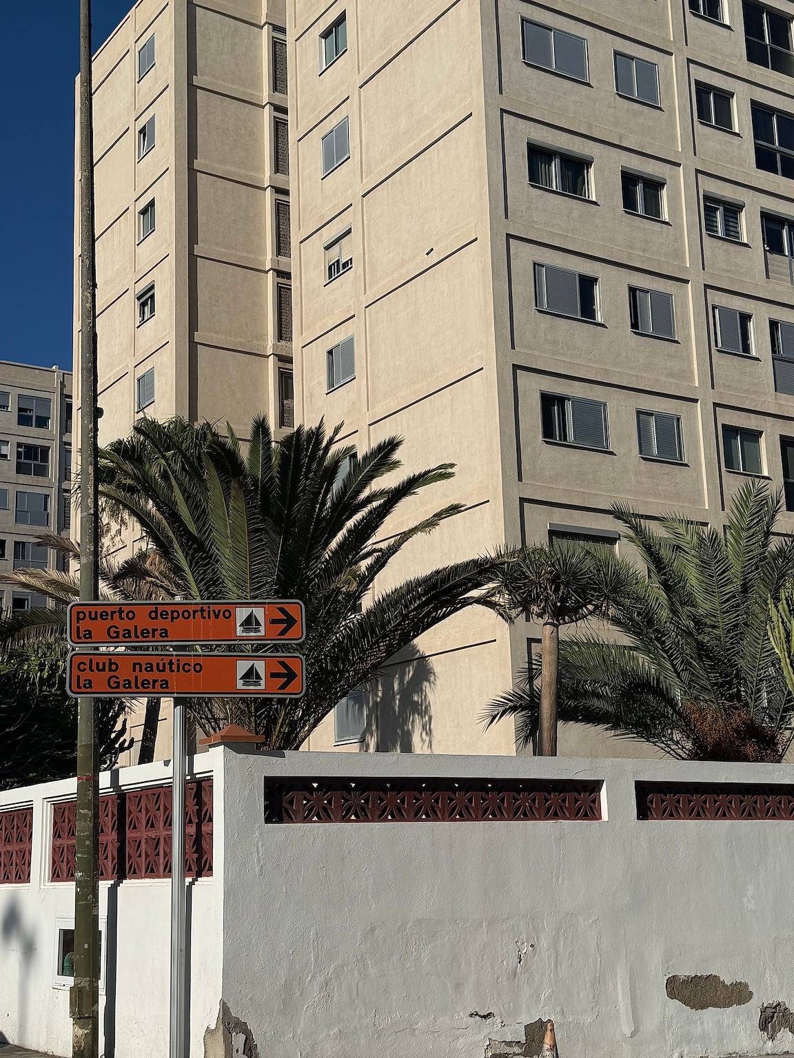 Palm trees and street signs next to the building