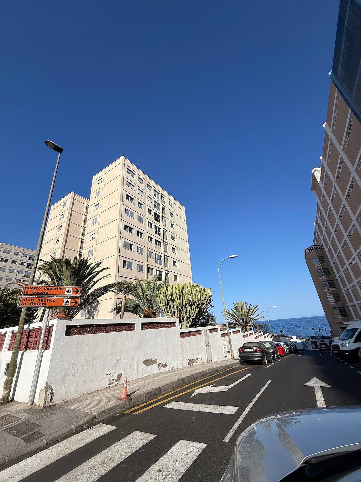 Street with palm trees leading down towards the sea